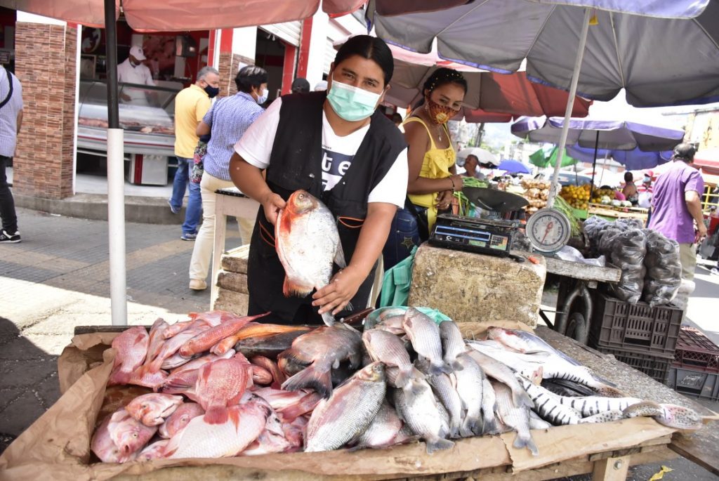 Pescados como la cachama, el bagre yamu y la mojarra registran precios estables.